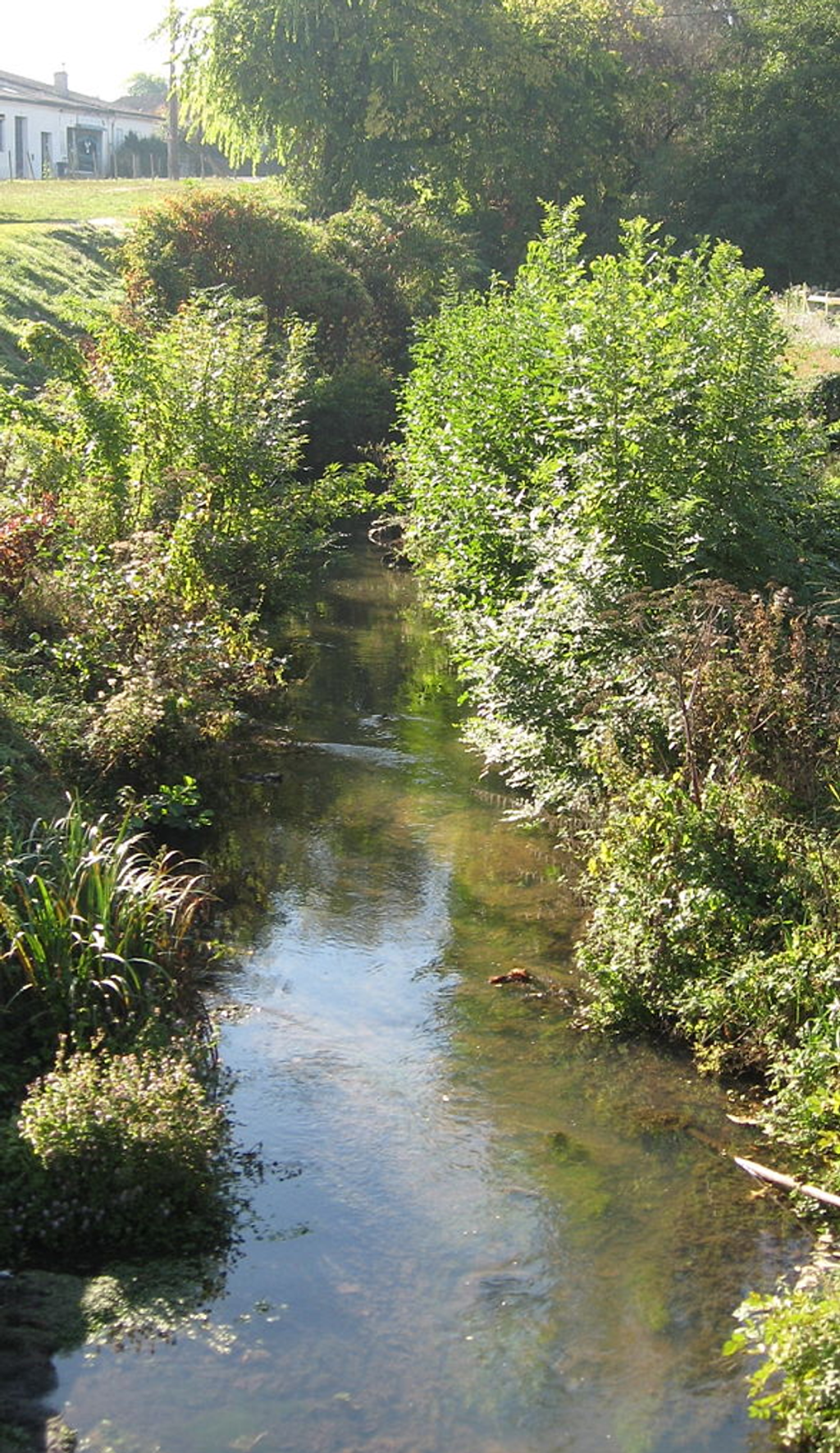 La marque du&nbsp;passé