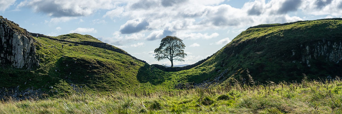 Clementp.fr - Travail personnel – wikimedia commons